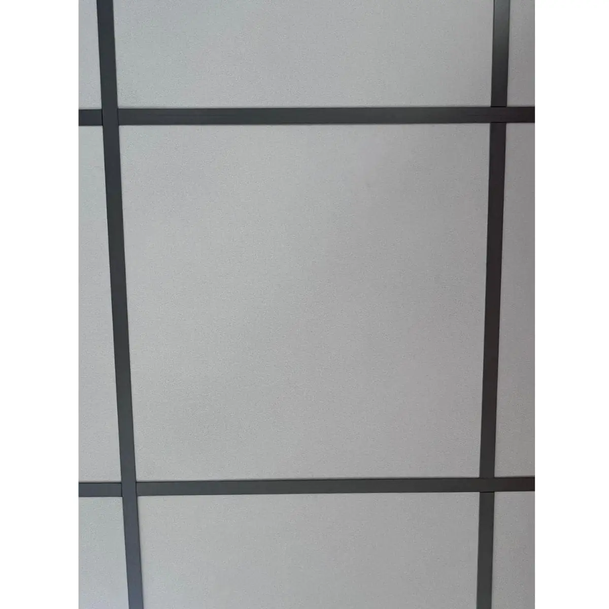 Techo topic 600x600 con perfileria silver desde abajo