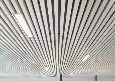 Proyectos institucionales, sanitarios y singulares