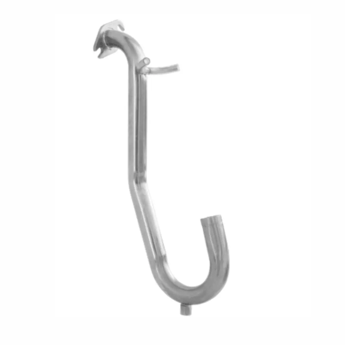 Cuello de cisne exulans