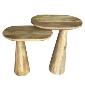 Set de 2 mesas auxiliares de madera de mango